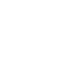 logo-h